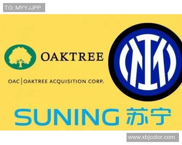 苏宁集团决定将国际米兰俱乐部卖给阿拉伯财团