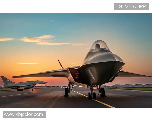 维迪斯与西布朗激战正酣谁能在这场较量中笑到最后 维迪斯与西布朗激战正酣谁能在这场较量中笑到最后