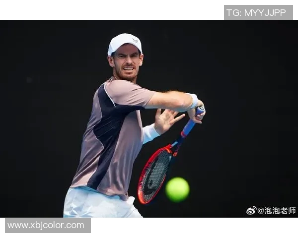 穆雷与蒂姆的巅峰对决谁将成为网球赛场的新王者