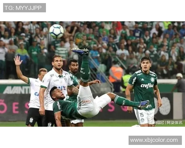 帕尔梅拉斯与波队激战在即谁能在这场对决中笑到最后