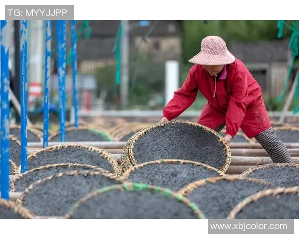 覃巴镇第二届丰收足球比赛精彩直播盛况回顾与精彩瞬间分享